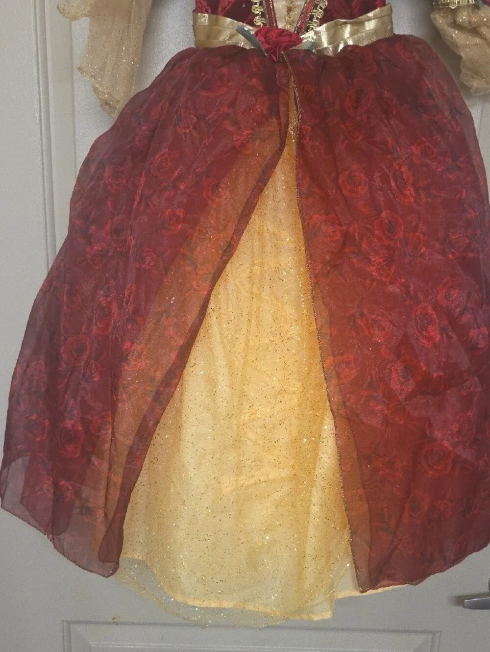 Disney Burgundy and Gold Princess Gown Costume